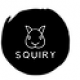 Squiry.in -  Hangout ideas and Events...